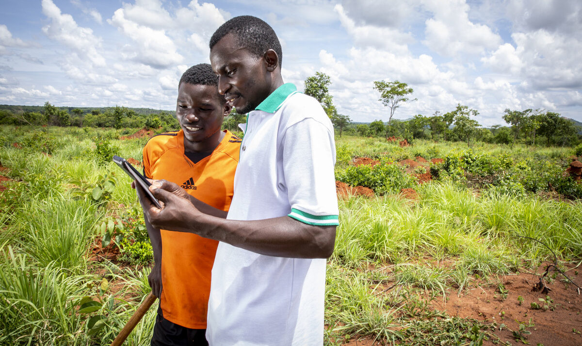 Two men in a field look at mobile phone.