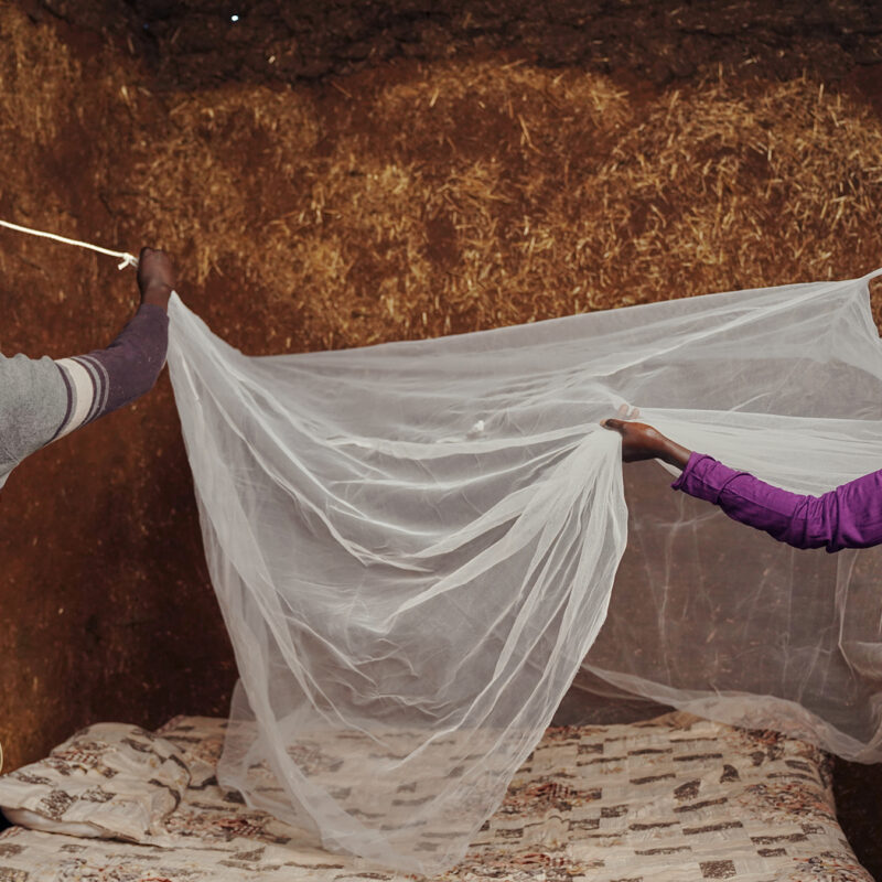 Two people hanging an insecticide-treated net