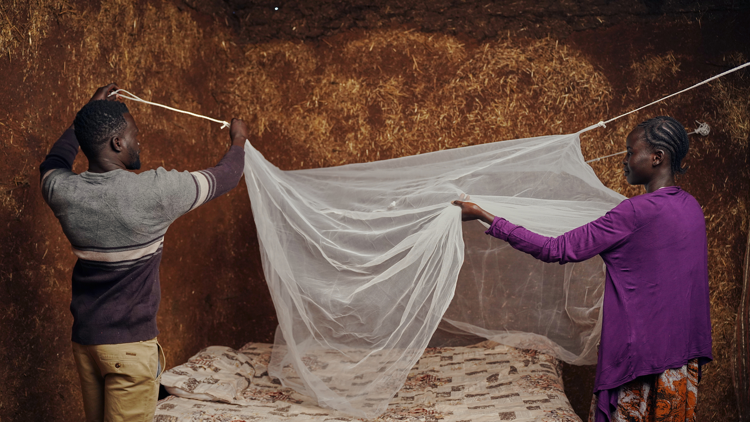 Two people hanging an insecticide-treated net