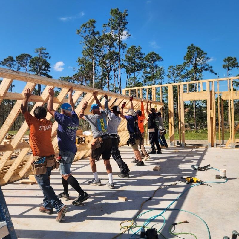 Group lifts building wooden frame