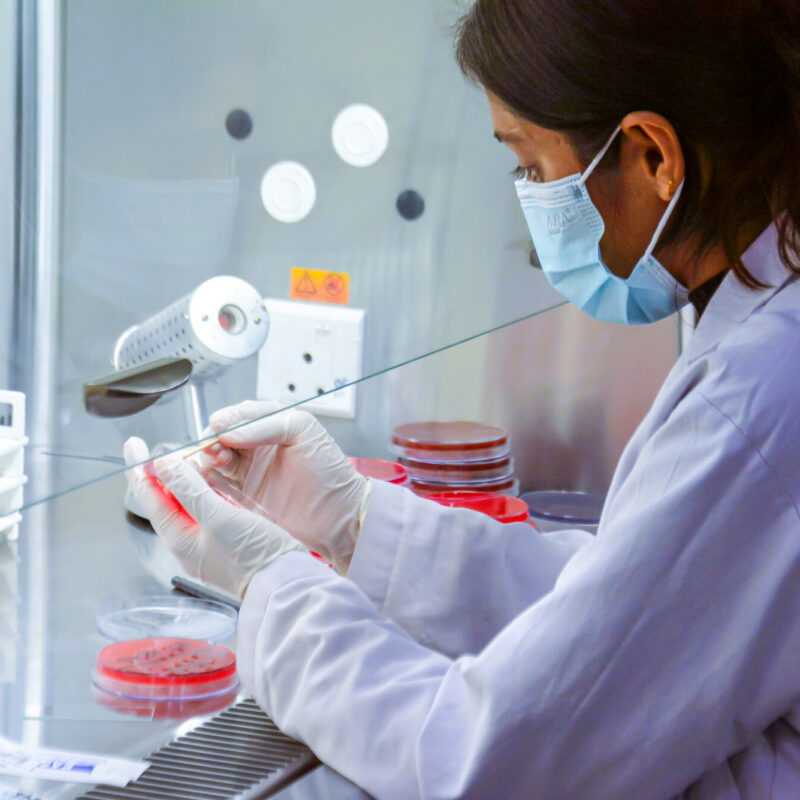 A lab technician works with a sample.